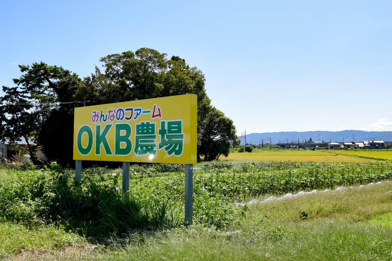 OKB農場